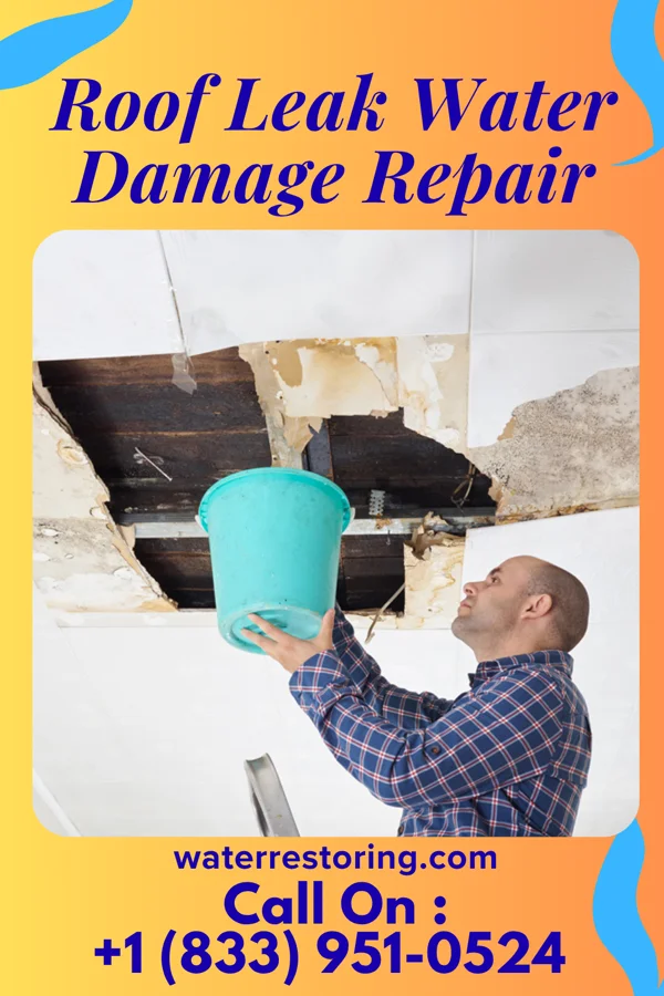 Roof Leak Water Damage Repair in Conroe, TX